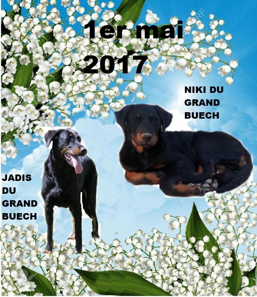 Du Grand Buech - 1 er mai 2017