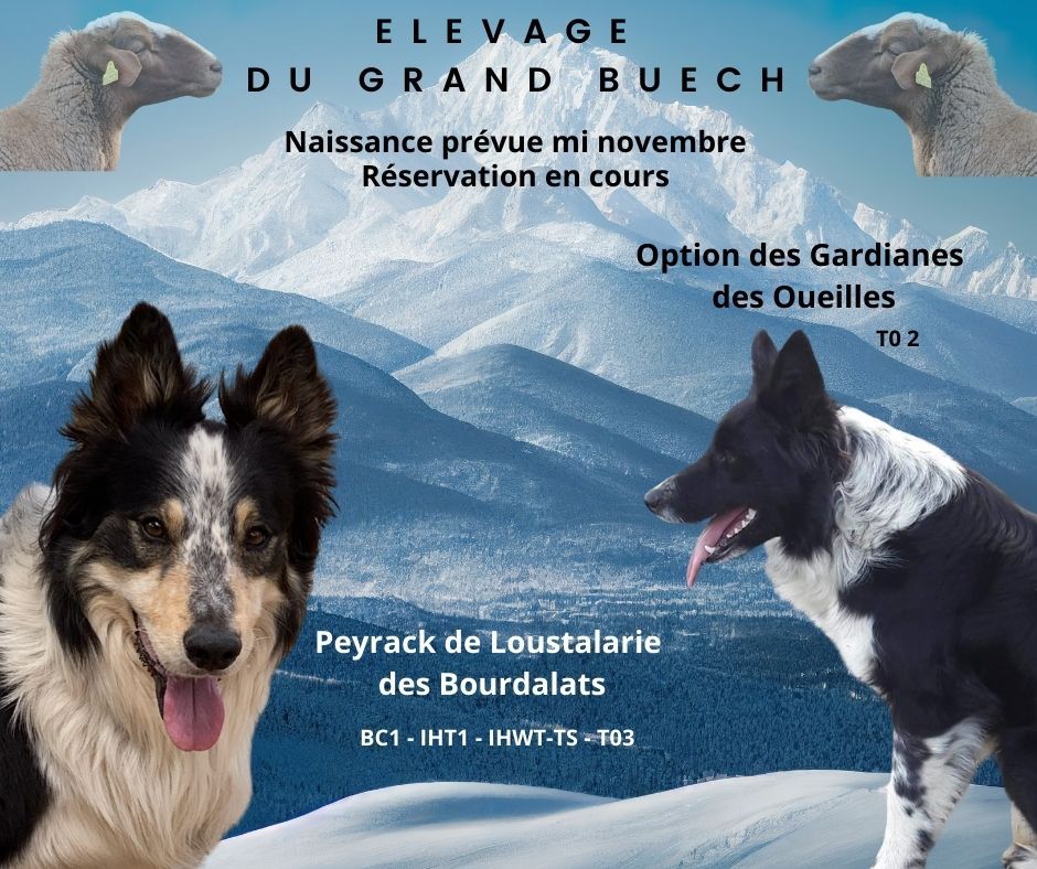 Du Grand Buech - Border de travail  à réserver 