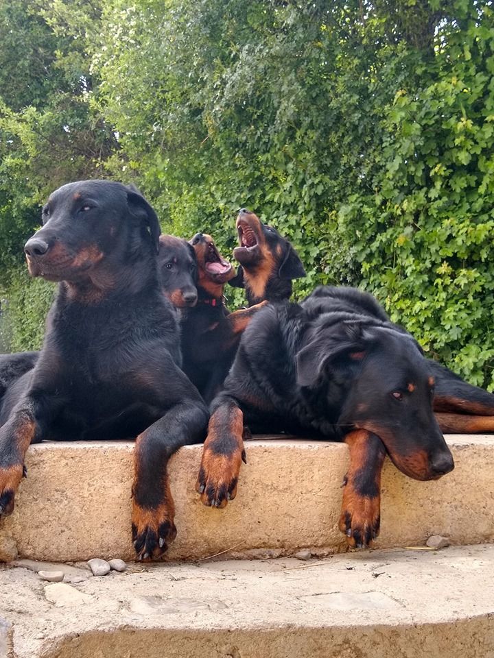 Du Grand Buech - PHOTO DE FAMILLE 