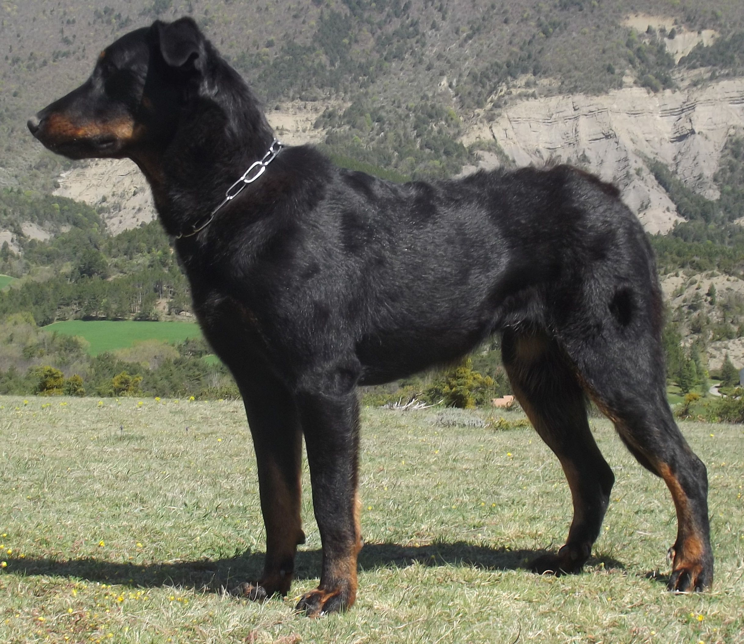 Lou Du Grand Buech